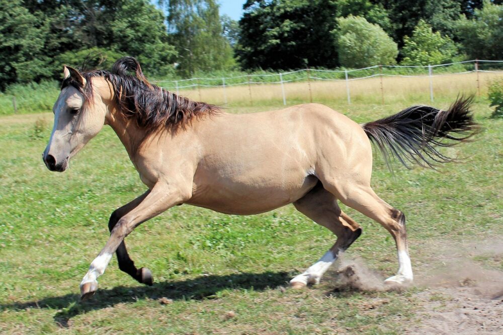 Comment choisir un hébergeur pour le site d'un restaurant ?