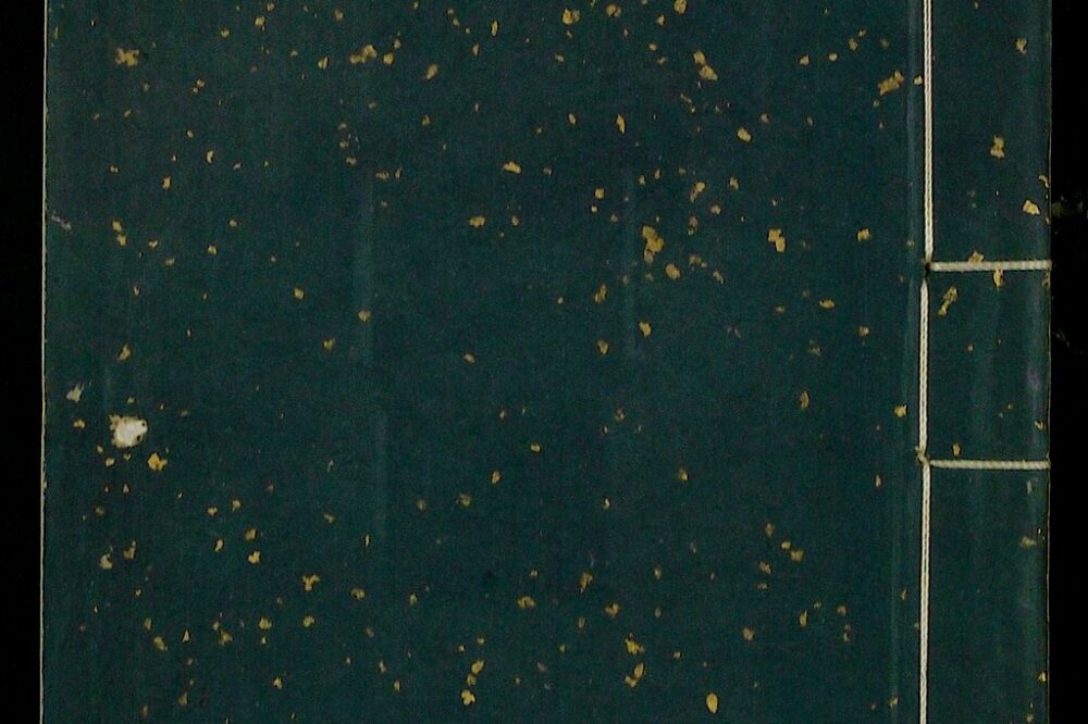 Comment corriger l'erreur 'jQuery is not defined' sur WordPress en 2026 ?