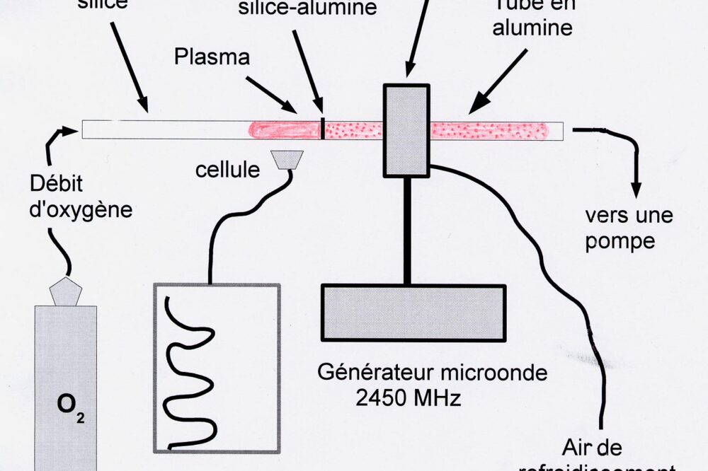 Comment créer un site de restaurant avec un système de commande à emporter ?