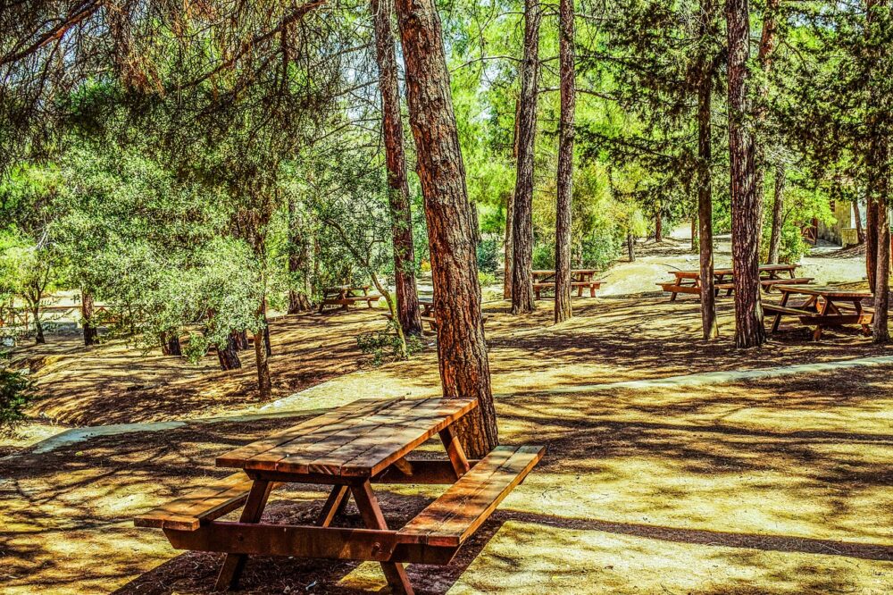 Comment créer un site d'immigration accessible à tous ?