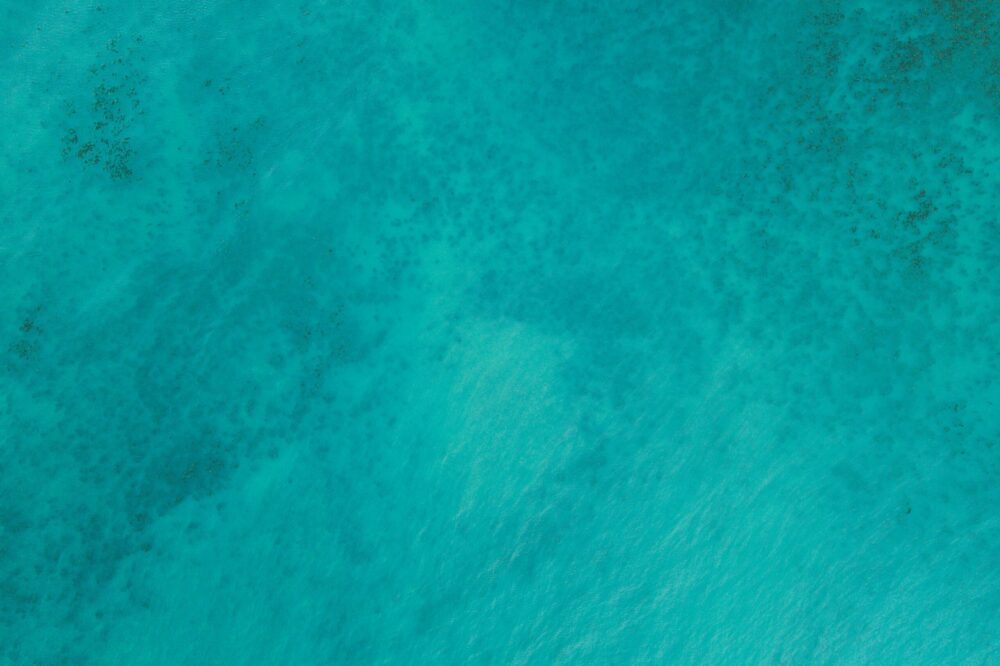 Comment intégrer des fonctionnalités de réalité virtuelle sociale dans les sites web en 2026 ?