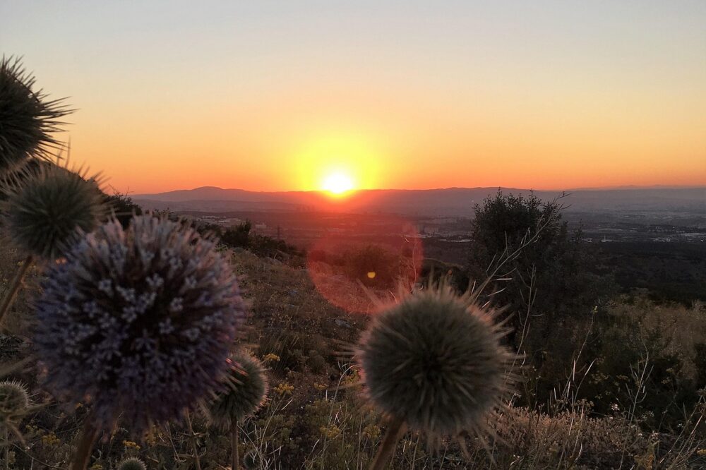 Comment le marketing d'affiliation évolue-t-il en 2026 ?