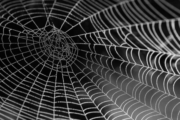 Comment mettre à jour régulièrement mon site web pour la sécurité en 2026 ?