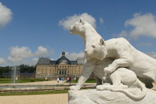 Comment optimiser les images pour le référencement en 2026 ?