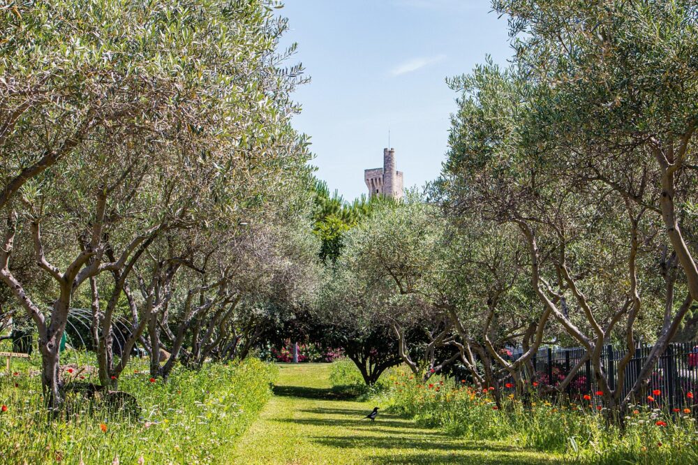 Comment optimiser les images pour le SEO en 2026 ?