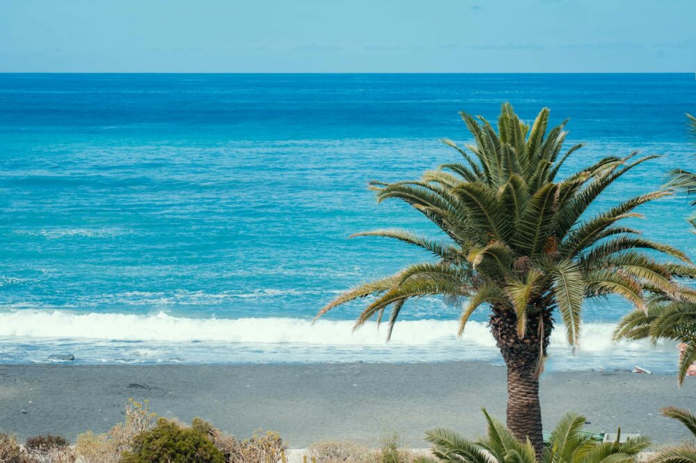 Comment réparer l'erreur 'Erreur de mise à jour de la base de données' sur WordPress ?