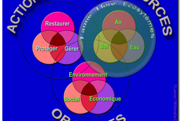 Comment restaurer un site de plombier après une panne ?