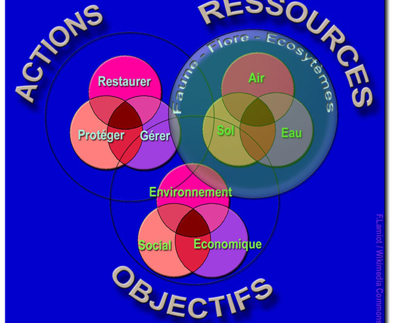 Comment restaurer un site de plombier après une panne ?