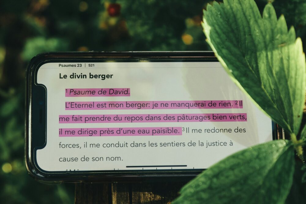 Comment utiliser les palettes de couleurs tendance dans WordPress en 2026 ?