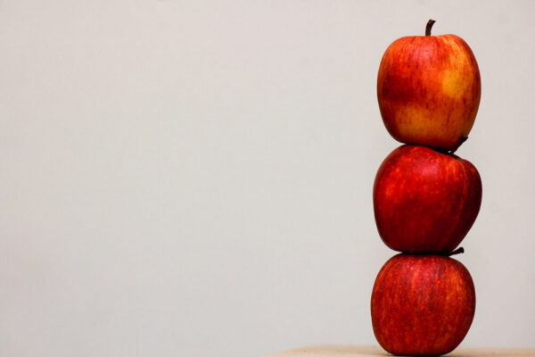 Pourquoi mon site WordPress affiche-t-il 'Erreur 403 Forbidden' en 2026 ?