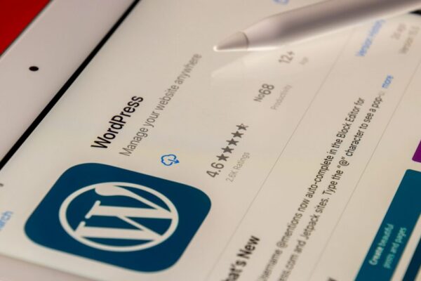 Que faire en cas d'erreur 'Erreur de mise en cache du navigateur' sur WordPress ?