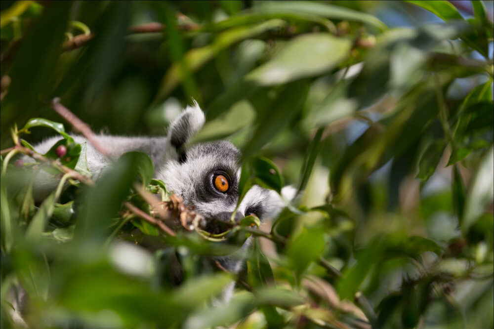 Que faire face à l'erreur 'Échec de l'établissement d'une connexion à la base de données' ?