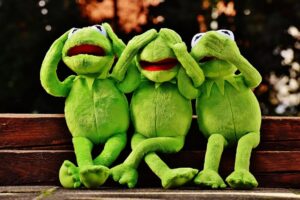 Que faire face à l'erreur 'Object cache not found' sur WordPress en 2026 ?