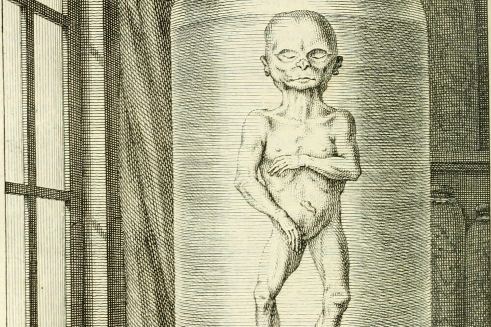 Que faire face à l'erreur 'Your PHP installation appears to be missing the MySQL extension' ?