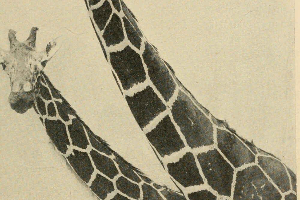 Quelles pages essentielles inclure sur le site d'un artisan ?