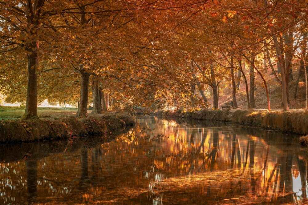 Quels plugins de calendrier pour un site de psychologue ?