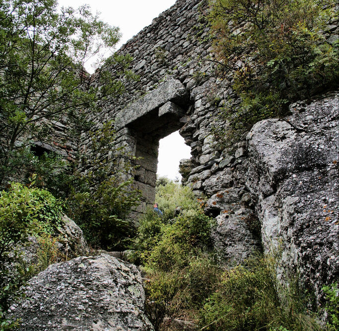 Quels plugins WordPress pour la gestion des fichiers PDF en 2026 ?