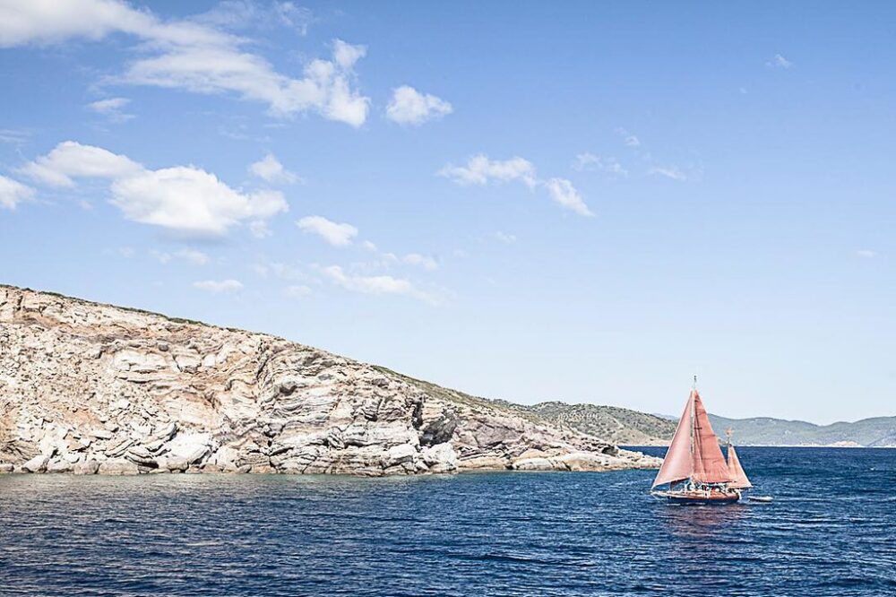 Quels sont les éléments de design pour un site de restaurant moderne ?