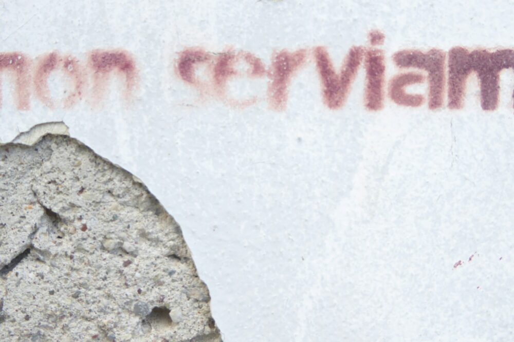 Qu'est-ce que l'attaque par déni de service distribué (DDoS) et comment s'en protéger en 2026 ?