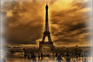 WordPress ou Wix : quelle solution pour un site de psychologue ?