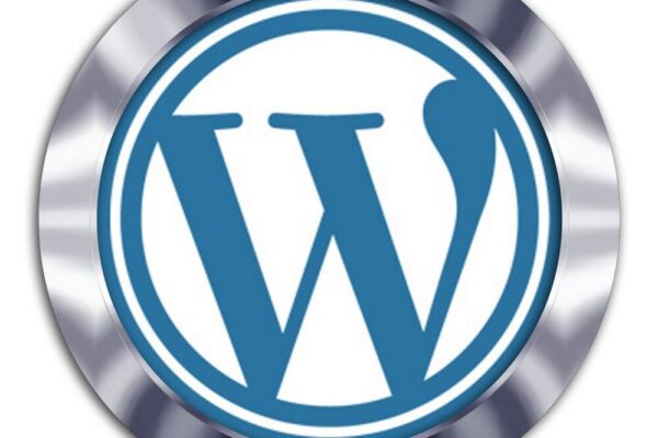 Comment configurer un site WordPress avec un thème optimisé pour la vitesse ?