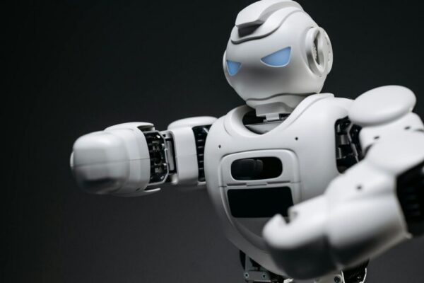 Comment optimiser le fichier robots.txt pour WordPress ?