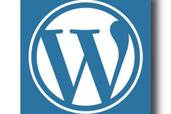 Comment optimiser les images pour le web avec WordPress et Webeloper.Org