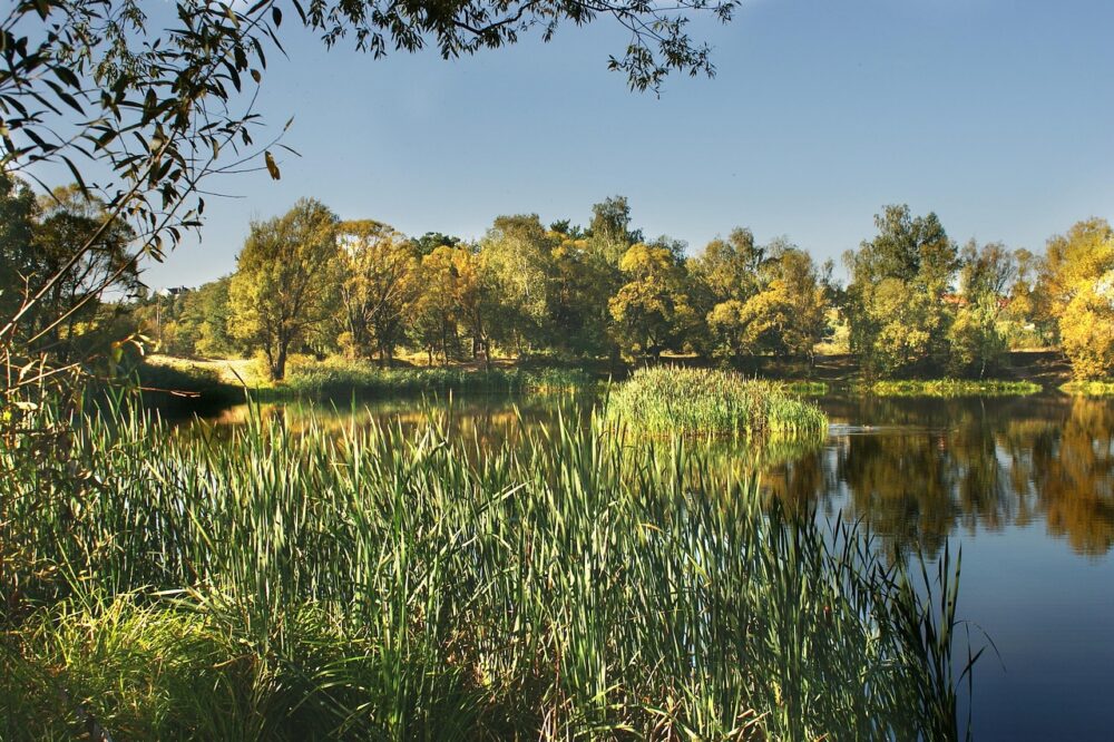 Quel budget SEO pour un site de location saisonnière ?