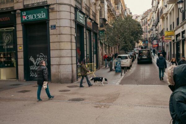 Quel est le coût d'un site web avec forum ?