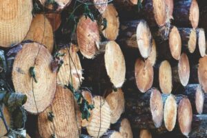 Quelles sont les bonnes pratiques pour la gestion des logs ?