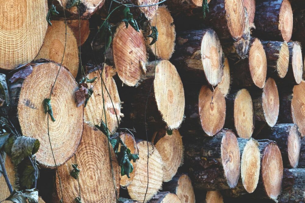 Quelles sont les bonnes pratiques pour la gestion des logs ?