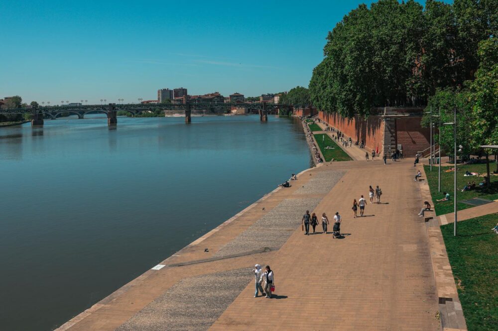 Quels sont les indicateurs de qualité d'un backlink selon un consultant à Toulouse ?