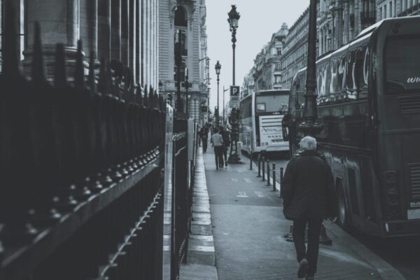 Quels sont les tarifs des templates WordPress ?